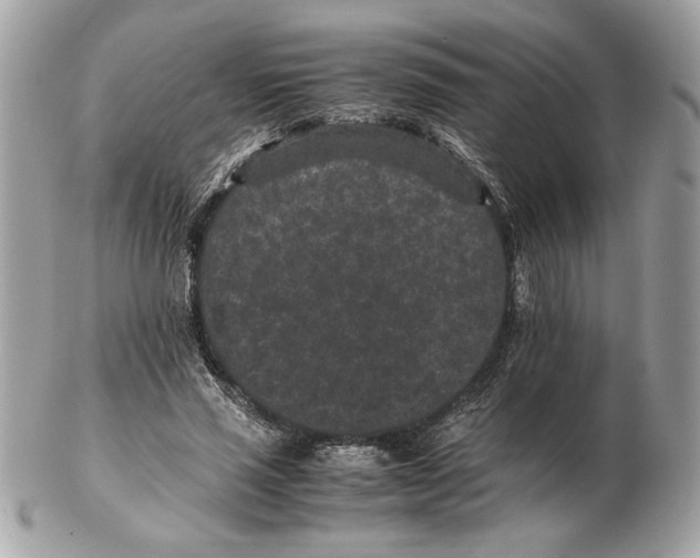 X0000102380637200808291402