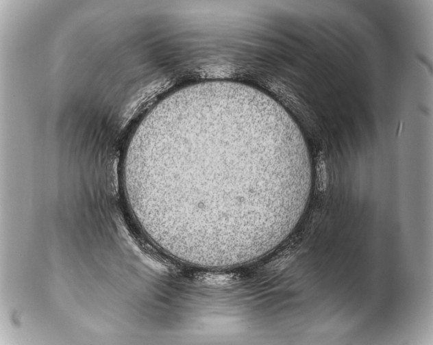 X0000102380638200808291402