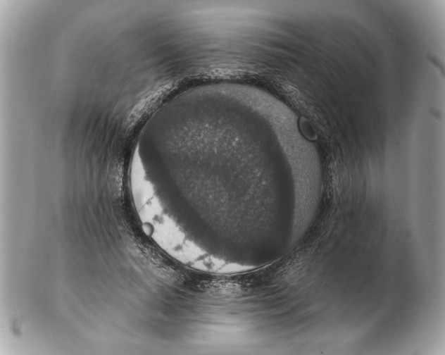 X0000102380640200808291402