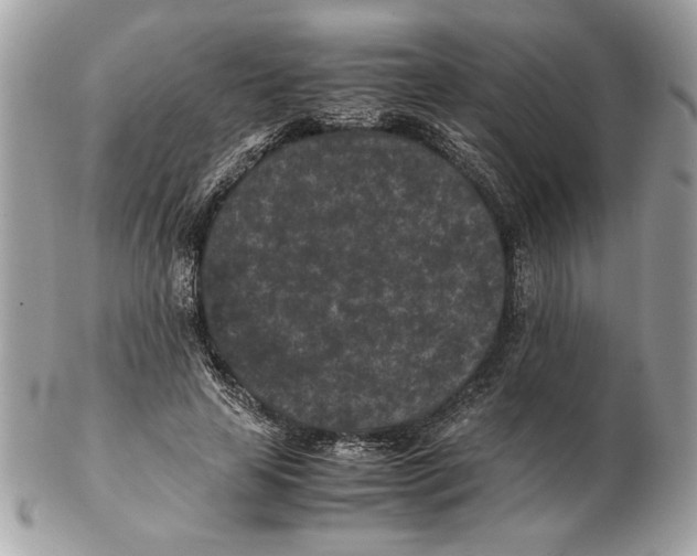 X0000102380641200808291402