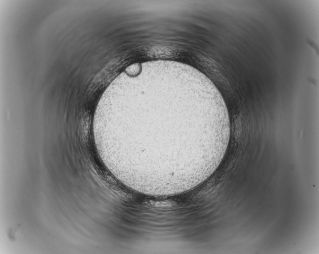 X0000102380645200808291402