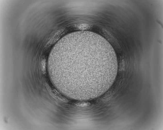 X0000102380646200808291402