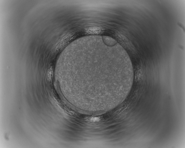 X0000102380647200808291402