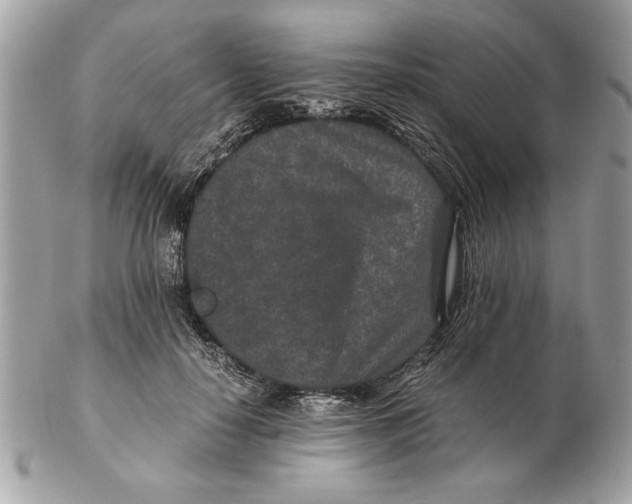 X0000102380650200808291402