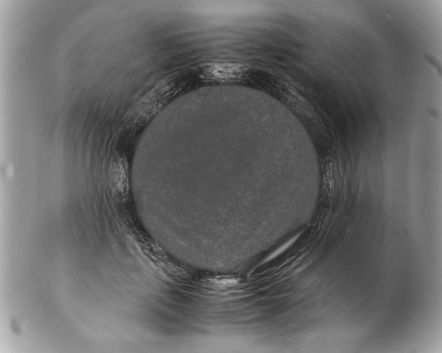 X0000102380651200808291402