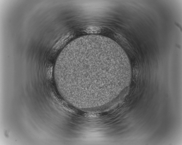 X0000102380652200808291402