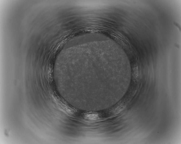 X0000102380653200808291402