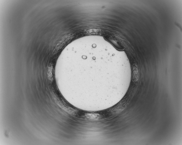 X0000102380654200808291402