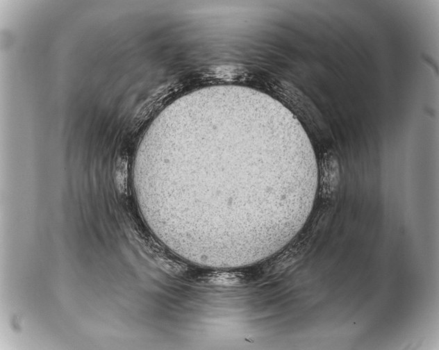 X0000102380656200808291402