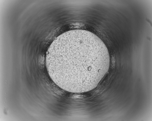 X0000102380657200808291402