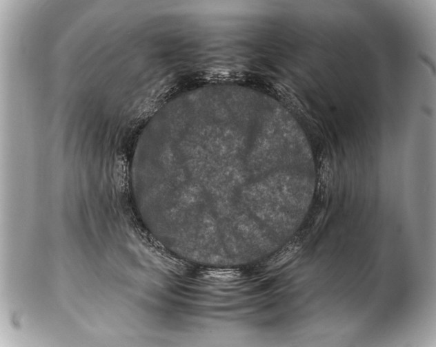 X0000102380659200808291402