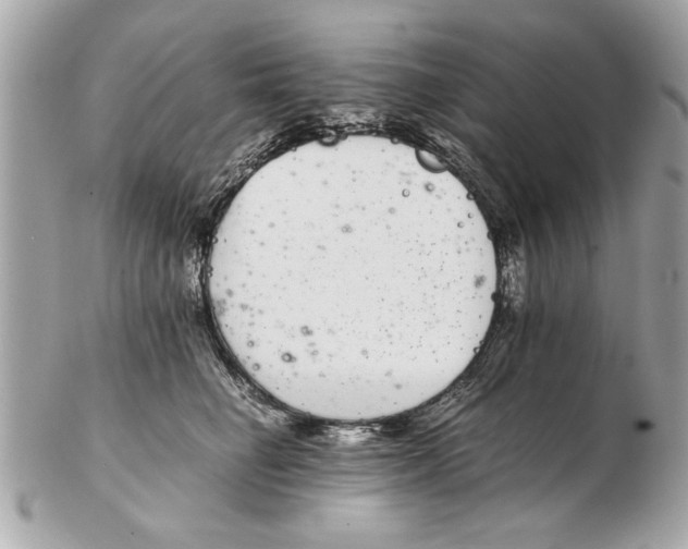 X0000102380662200808291402