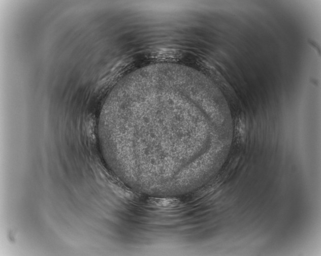 X0000102380663200808291402