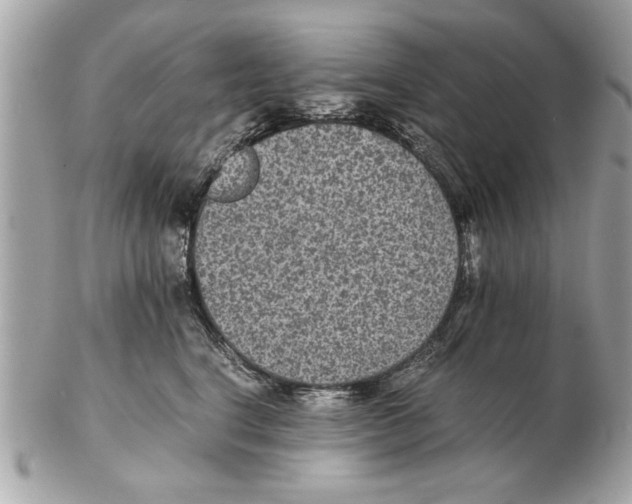 X0000102380664200808291402