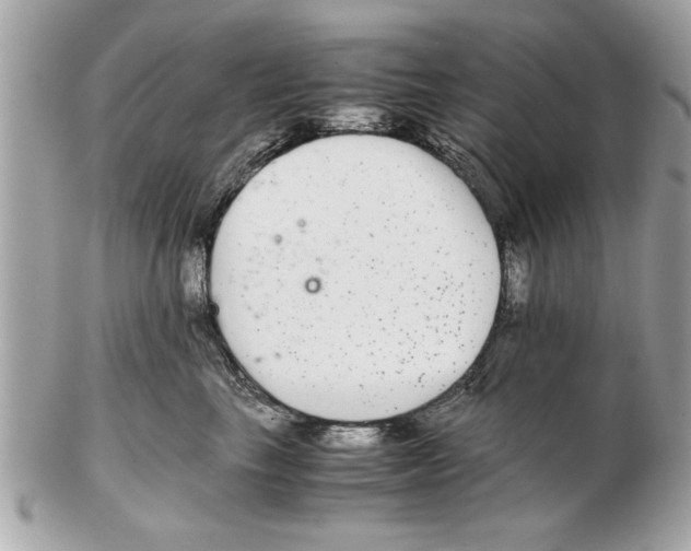 X0000102380665200808291402