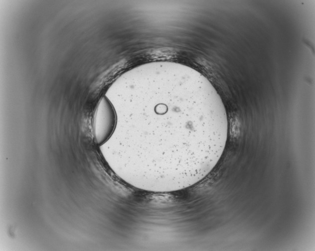 X0000102380666200808291402