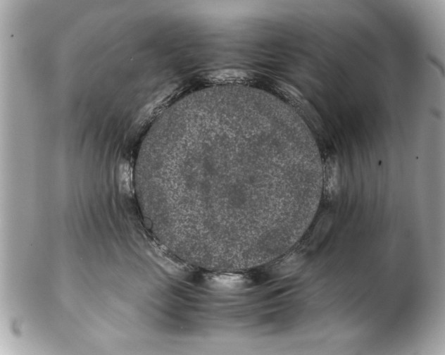 X0000102380669200808291402