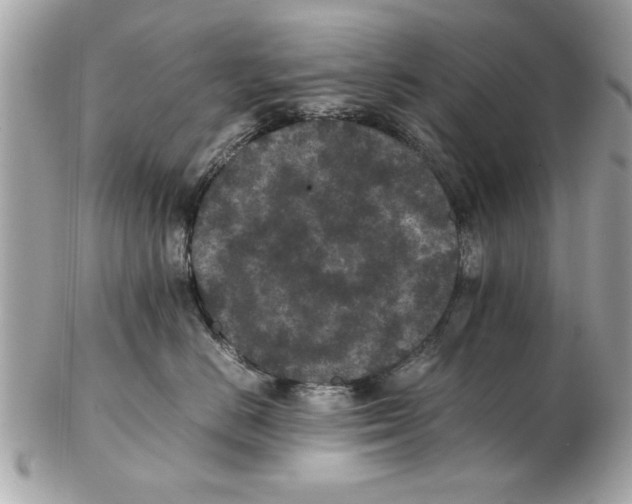 X0000102380670200808291402