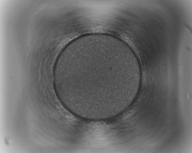 X0000102380673200808291402