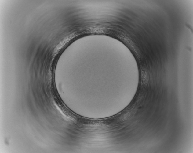 X0000102380674200808291402