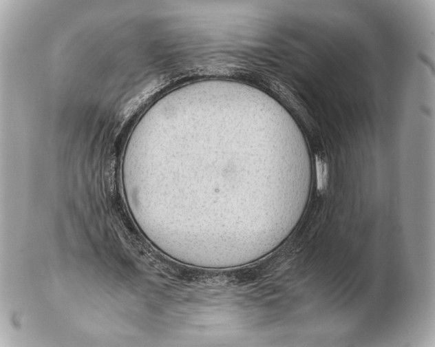 X0000102380675200808291402