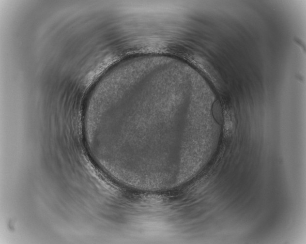 X0000102380677200808291402