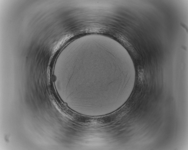 X0000102380678200808291401