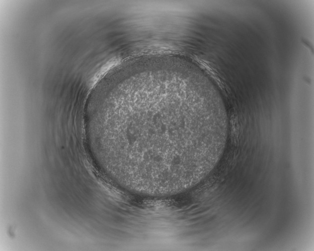 X0000102380679200808291401