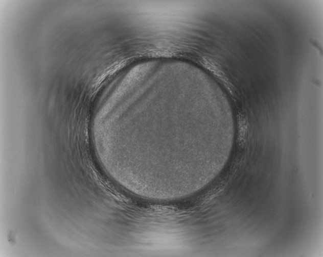 X0000102380681200808291401