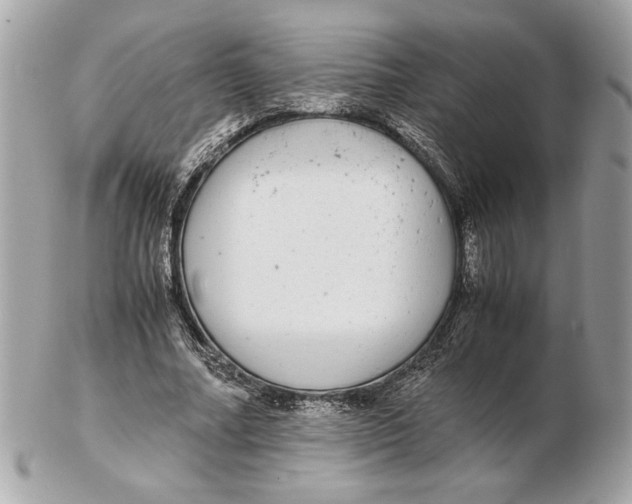 X0000102380682200808291401