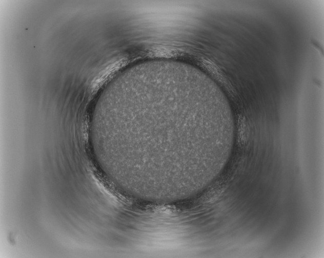 X0000102380683200808291401