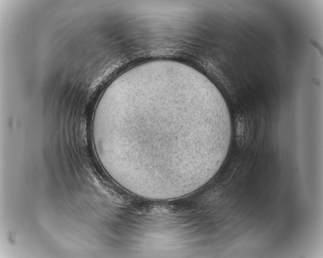 X0000102380684200808291401