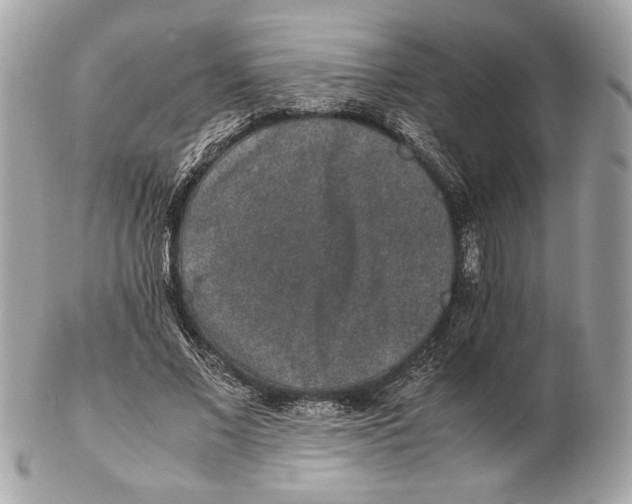 X0000102380685200808291401