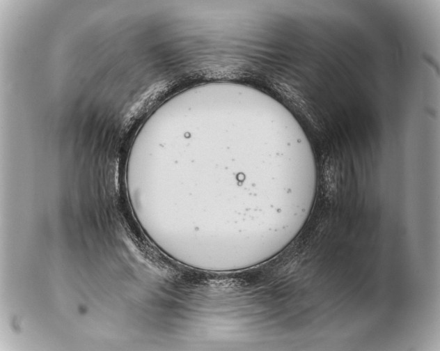 X0000102380686200808291401