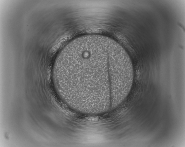 X0000102380687200808291401