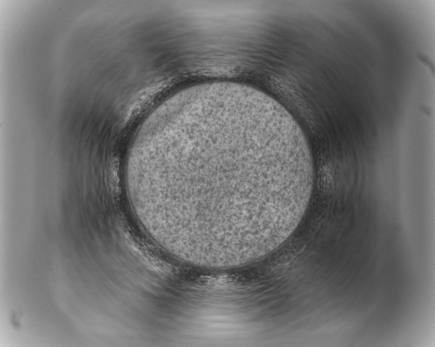 X0000102380688200808291401