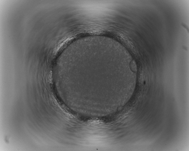 X0000102380689200808291401