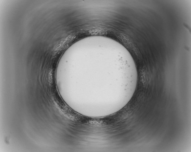 X0000102380690200808291401