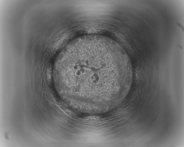 X0000102380691200808291401