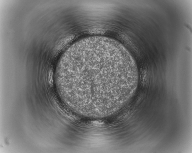 X0000102380692200808291401