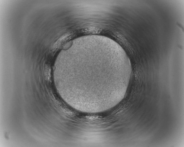 X0000102380693200808291401