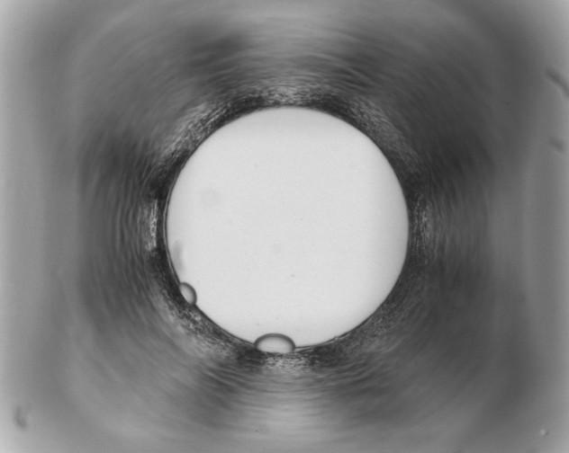 X0000102380694200808291401