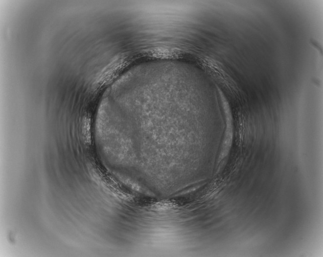 X0000102380696200808291401