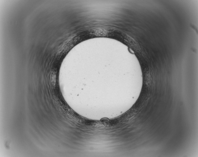 X0000102380697200808291401