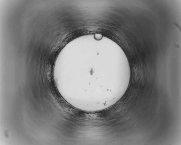 X0000102380698200808291401