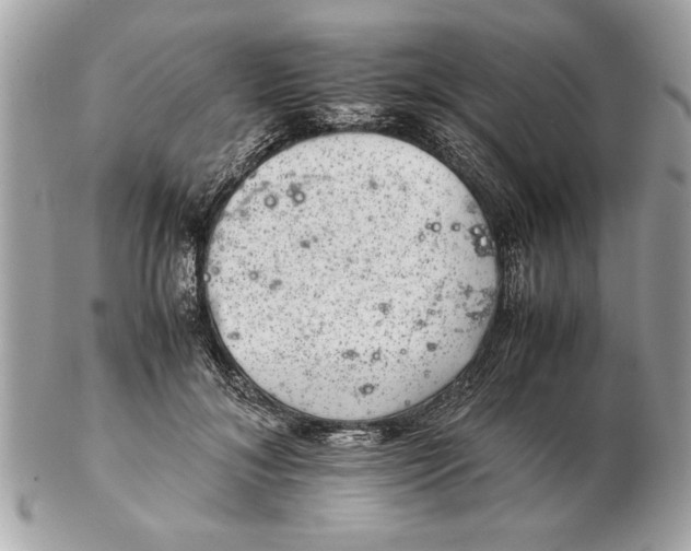 X0000102380700200808291401