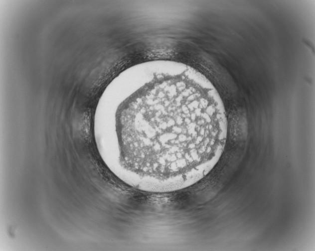 X0000102380701200808291401