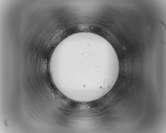 X0000102380702200808291401