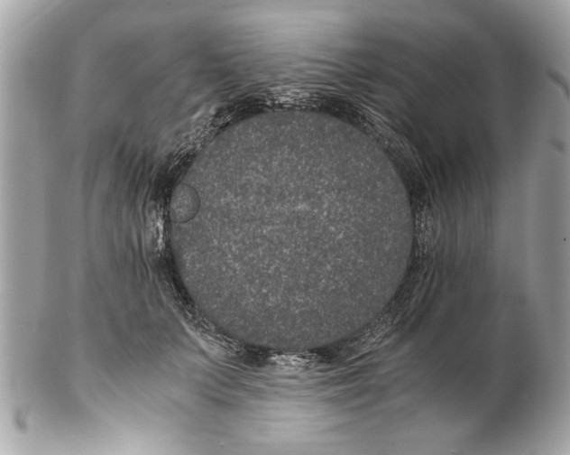 X0000102380703200808291401