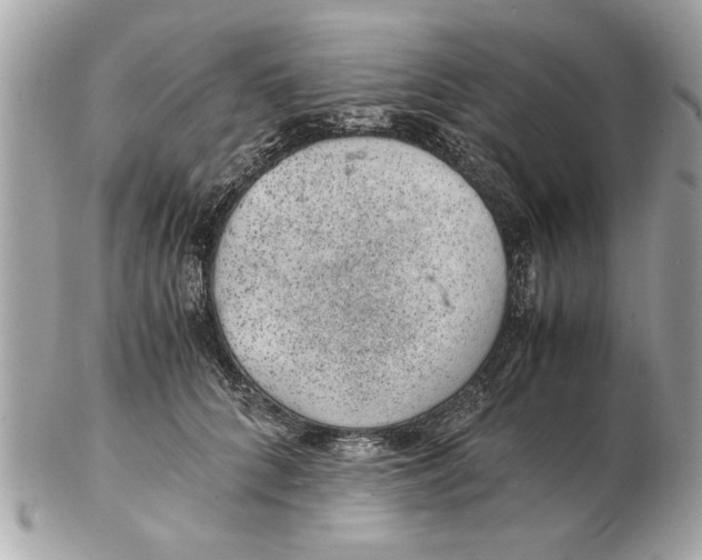 X0000102380704200808291401